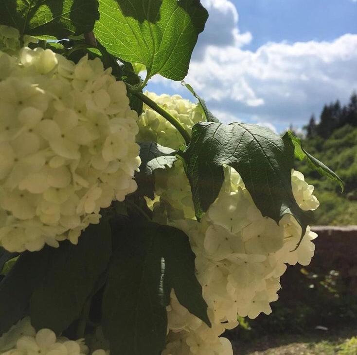 Castello Di Urbech Daire Pratovecchio Dış mekan fotoğraf