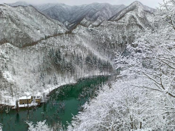 Castello Di Urbech Daire Pratovecchio Dış mekan fotoğraf