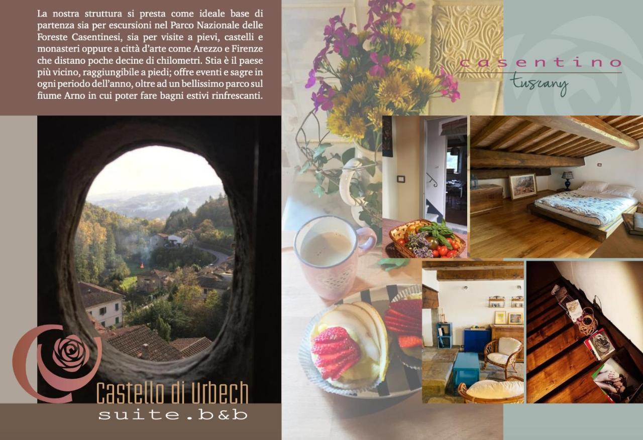 Castello Di Urbech Daire Pratovecchio Dış mekan fotoğraf
